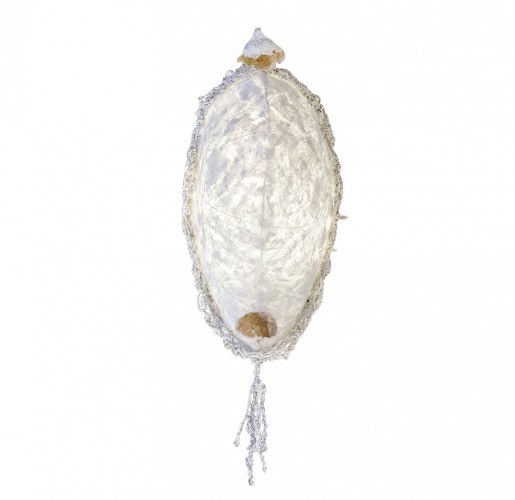 Applique Carlina