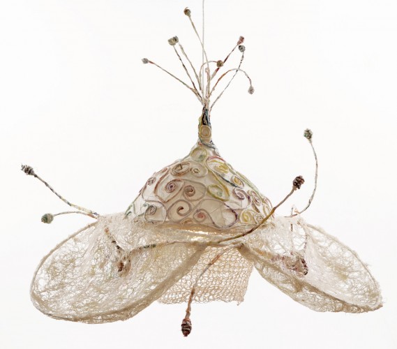 Suspension Lunaria